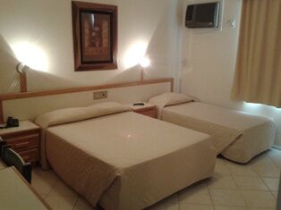 Geranium 4*